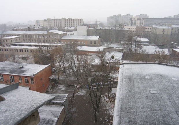 Если бы черный снег выпал в Харькове, было бы серьезное расследование.