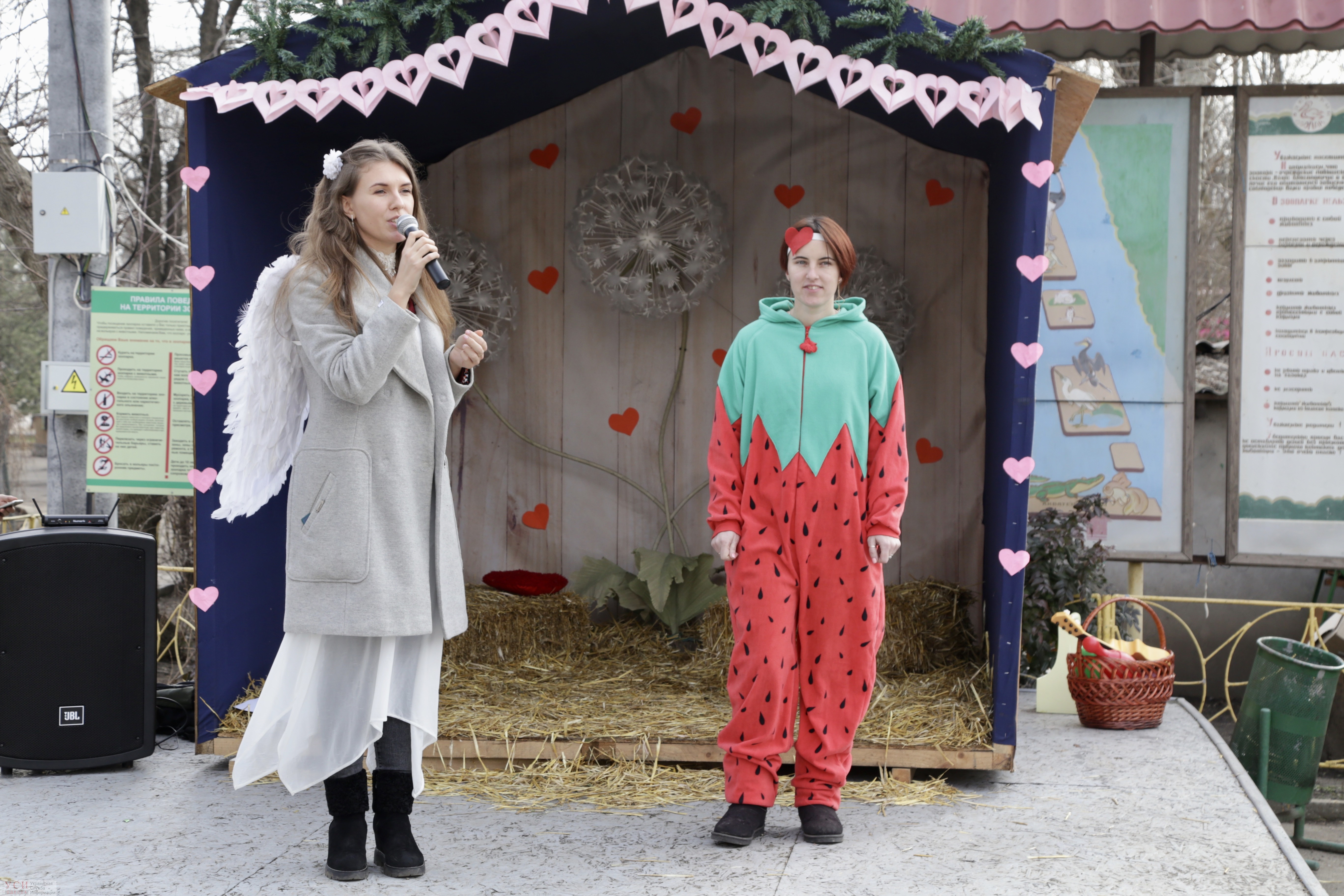 В Одесском зоопарке выбрали самую красивую пару: кто победил на сей раз