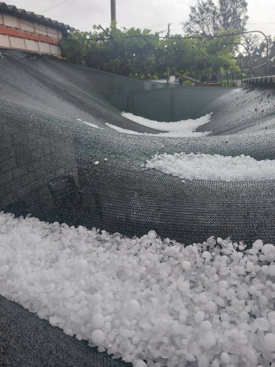 У Харківській області випав великий град: фото фото 1