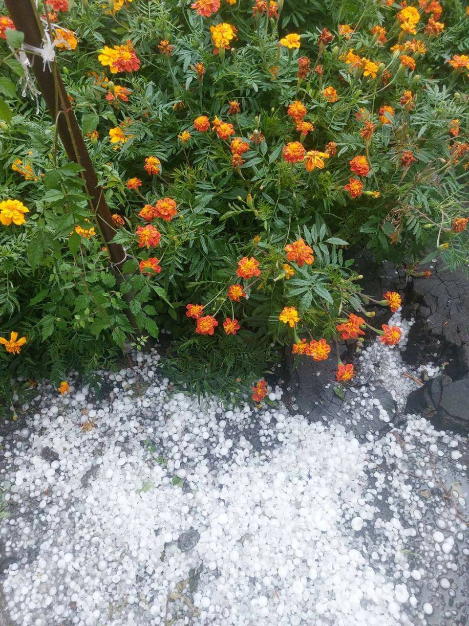 Град Харківської області -