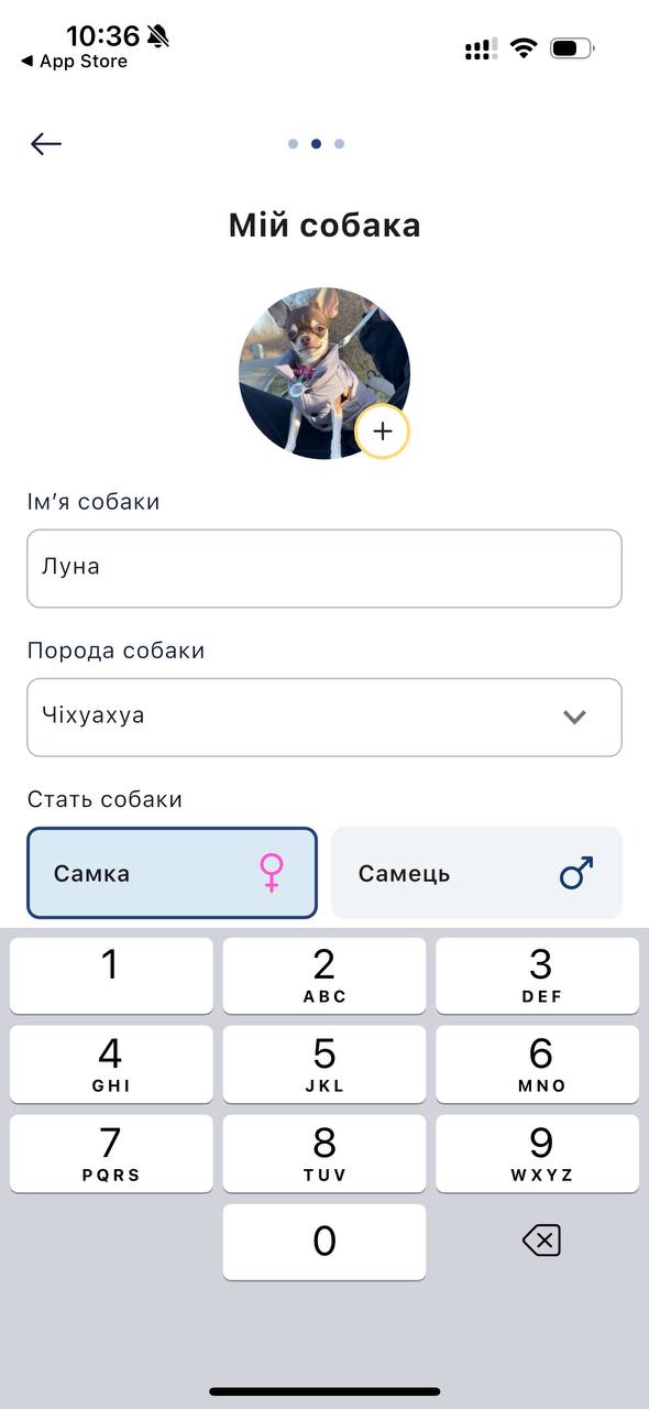 Как выглядит регистрационное поле