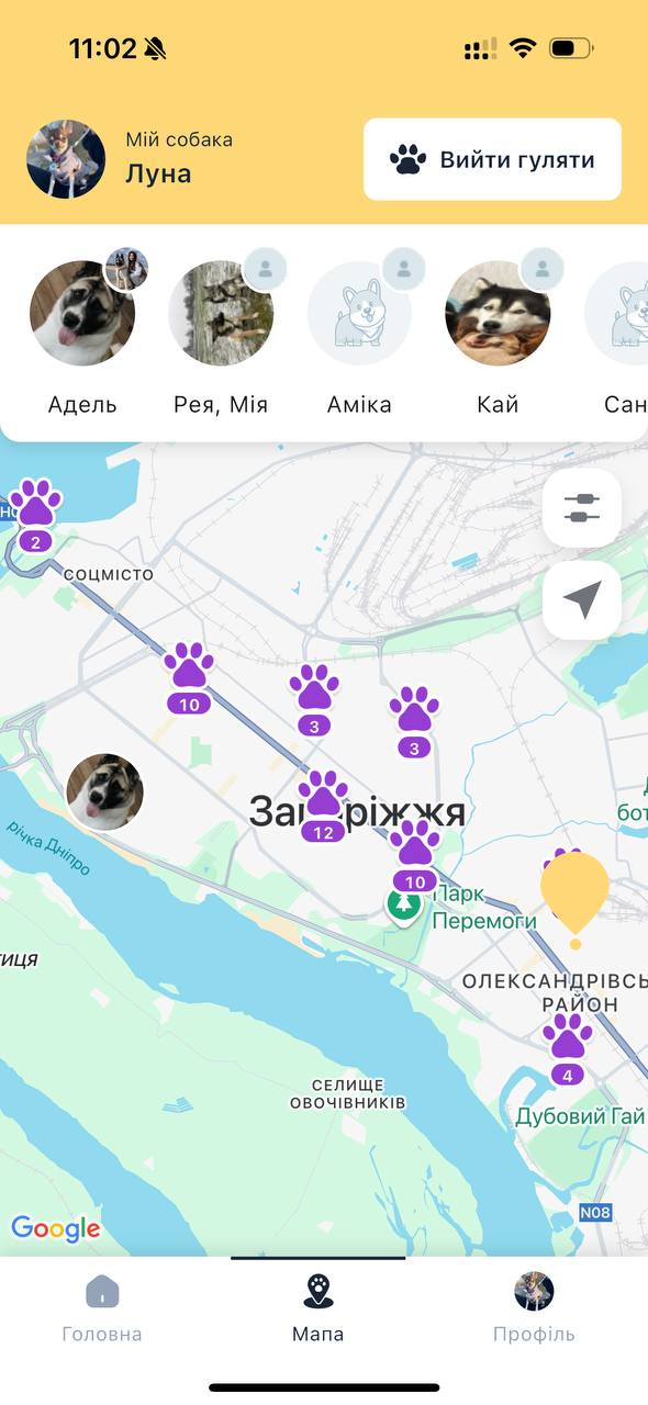 На карте будут собачки из тех районов