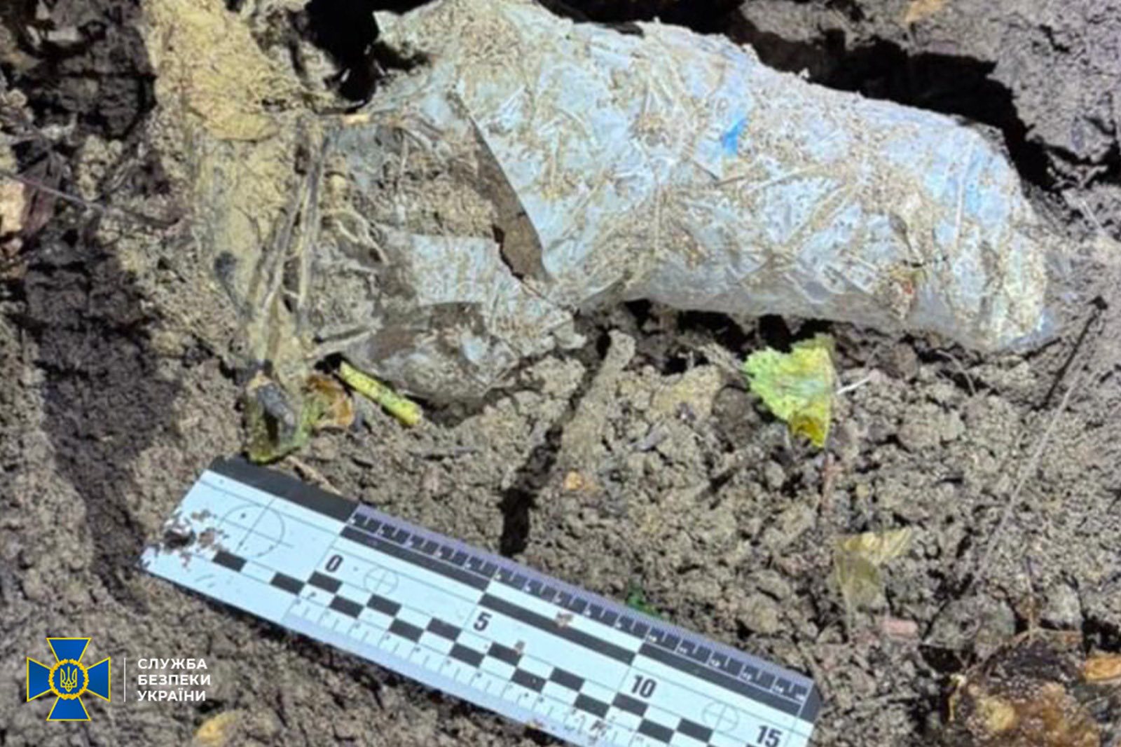 У лісопарку біля Львова знайшли пістолет, з якого вбили Андрія Парубія.