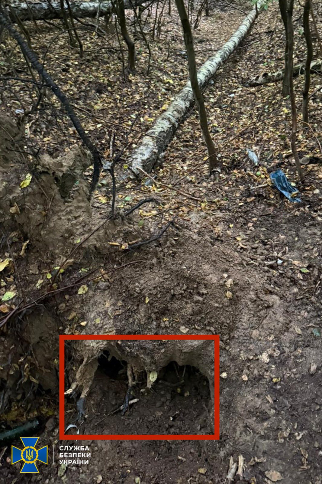 У лісопарку біля Львова знайшли пістолет, з якого вбили Андрія Парубія.