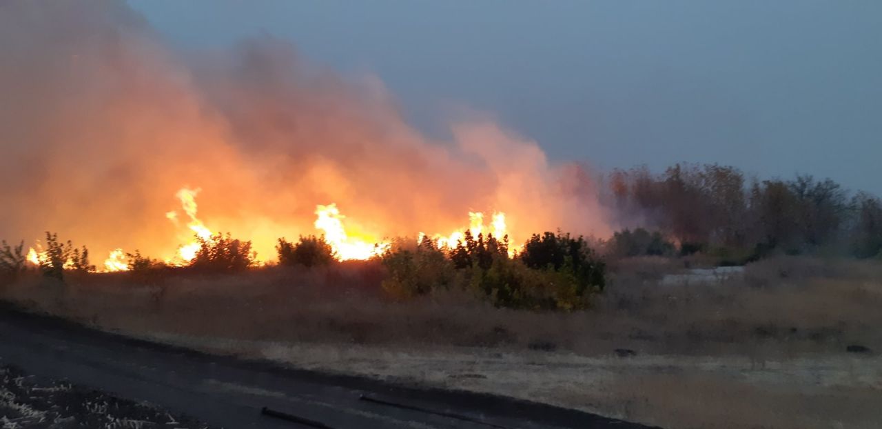 Фото: kh.dsns.gov.ua