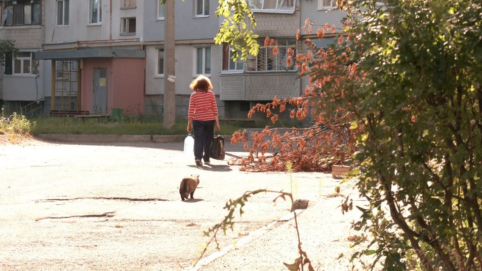 Харків'янка взяла опіку над 80 котами на Північній Салтівці.