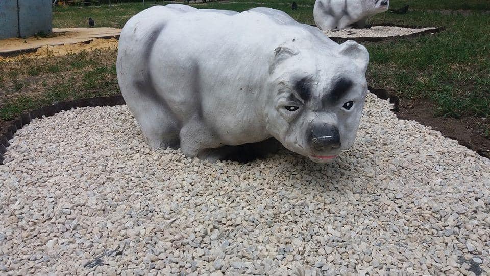 Фото: facebook.com/igor.cherniak