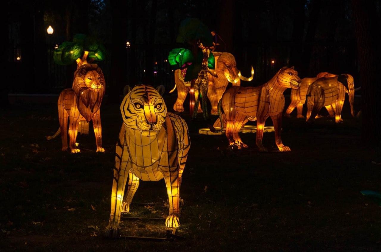 Панды, фламинго, шоу акробатов: в Харькове стартовал Фестиваль гигантских китайских фонарей (фоторепортаж) фото 10 9