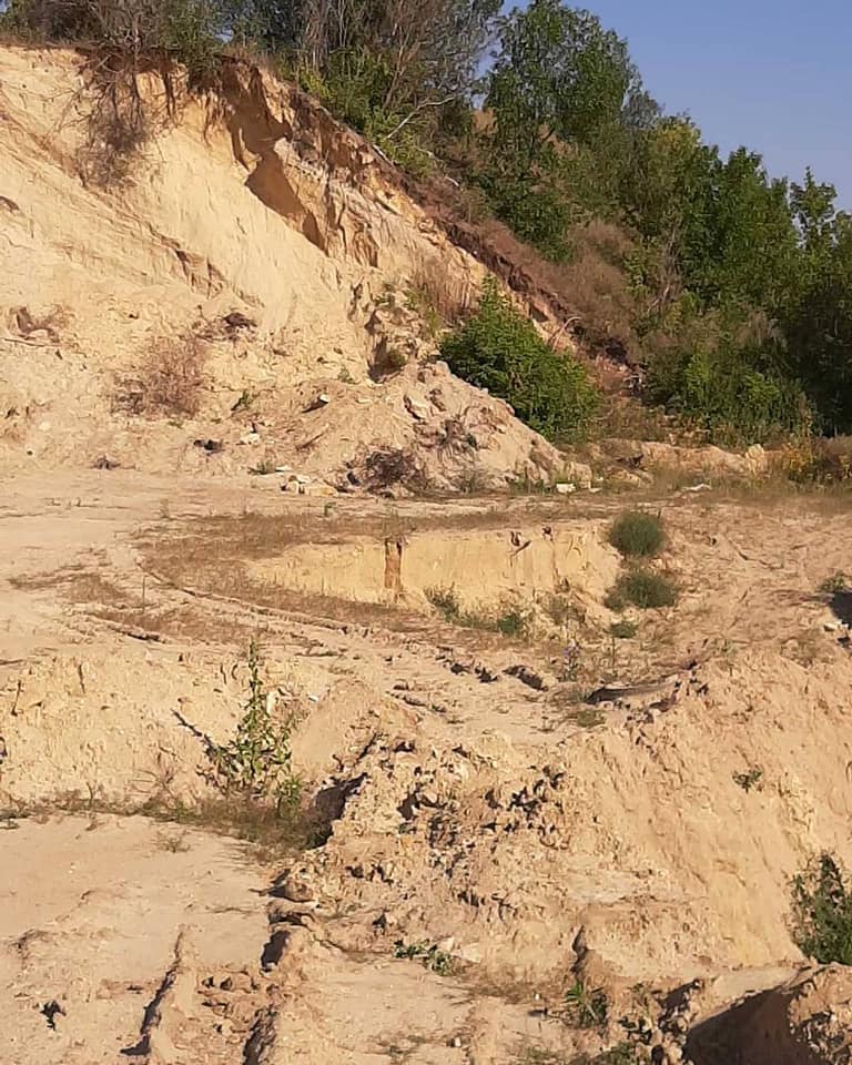 Фото: ТРК "Лозовая"