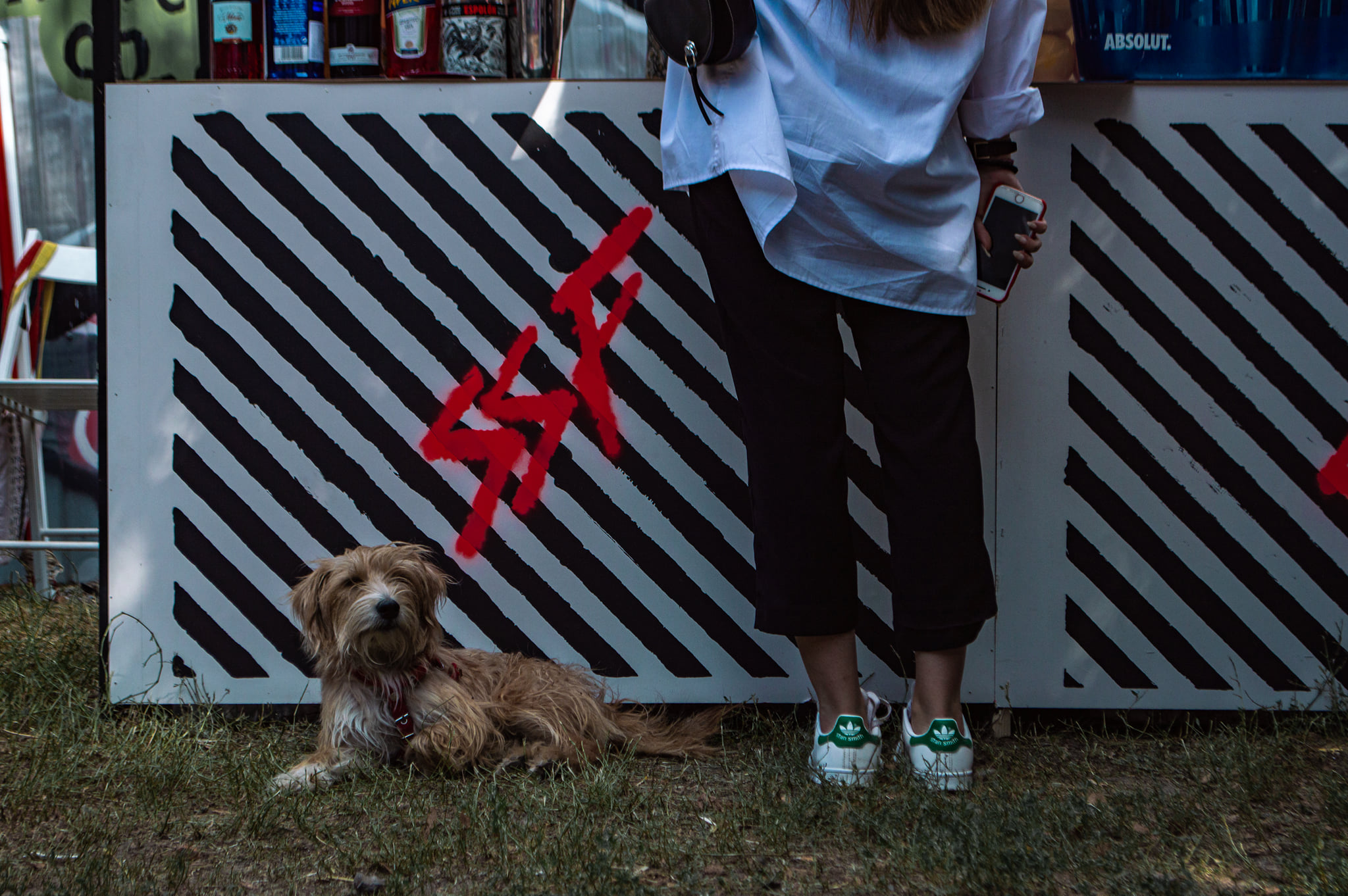 Фото: facebook.com/vinylfesta