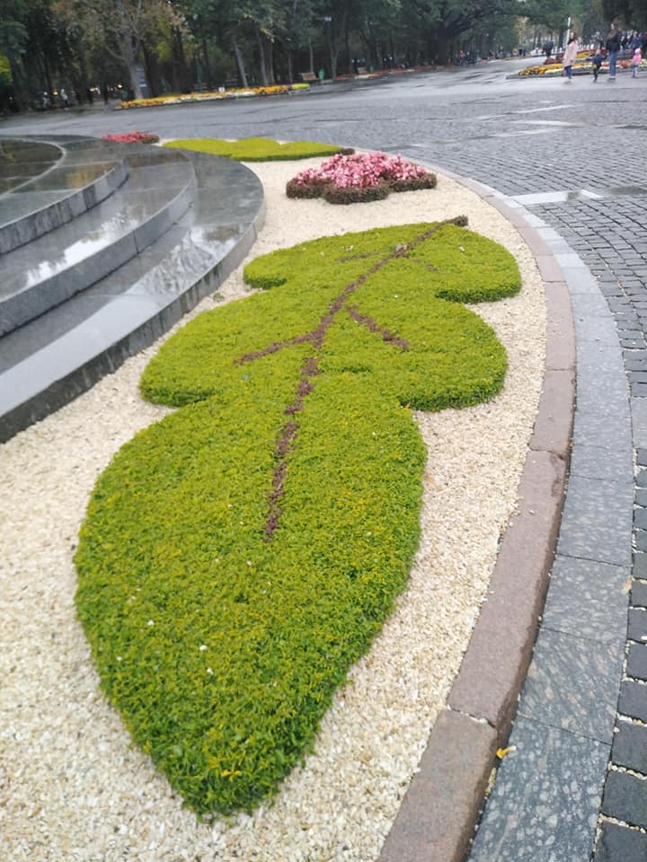 Фото: Галина Атрошкина