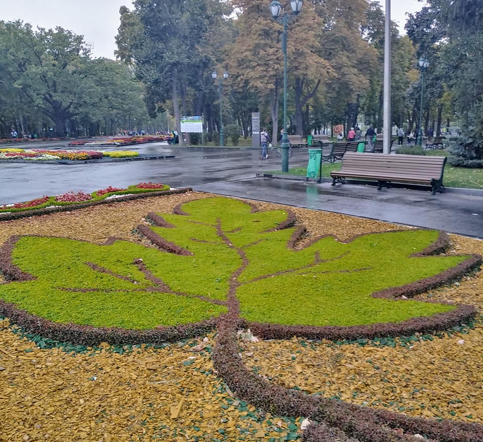 Фото: Галина Атрошкина