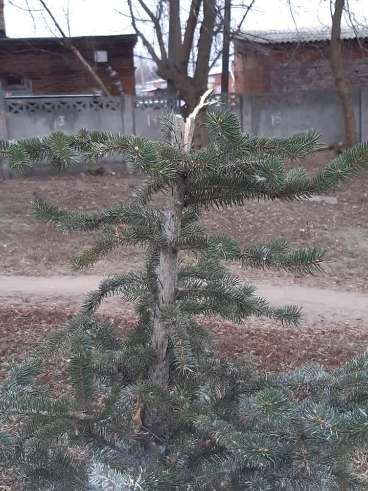 Фото: facebook.com/odkbkharkiv