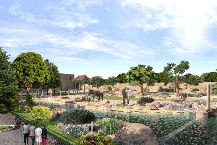 Месяц до открытия: Игорь Терехов показал, как выглядит Харьковский зоопарк фото 22 21