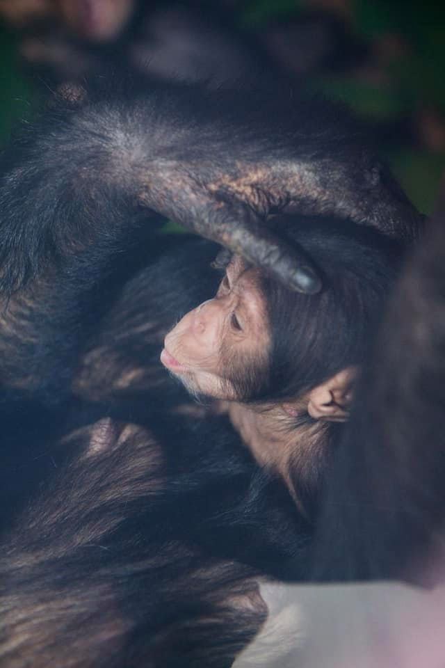 Фото: facebook.com/FeldmanEcopark