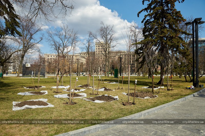 Фото: city.kharkov.ua