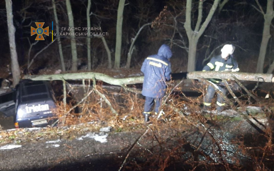 На трассе Харьков — Киев дерево рухнуло на автомобиль, пострадали две пассажирки.