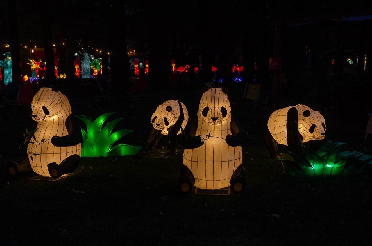 Панды, фламинго, шоу акробатов: в Харькове стартовал Фестиваль гигантских китайских фонарей (фоторепортаж) фото 15 14