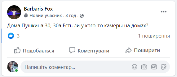 Скриншот: Facebook Солоницевка Live