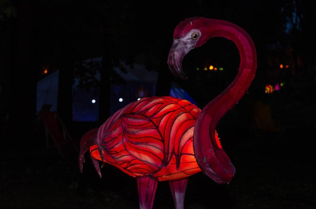 Панды, фламинго, шоу акробатов: в Харькове стартовал Фестиваль гигантских китайских фонарей (фоторепортаж) фото 16 15