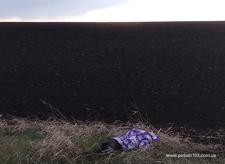 "Поссорилась с братом": как под Харьковом искали 6-летнюю Милану, обнаруженную мертвой фото 2 1
