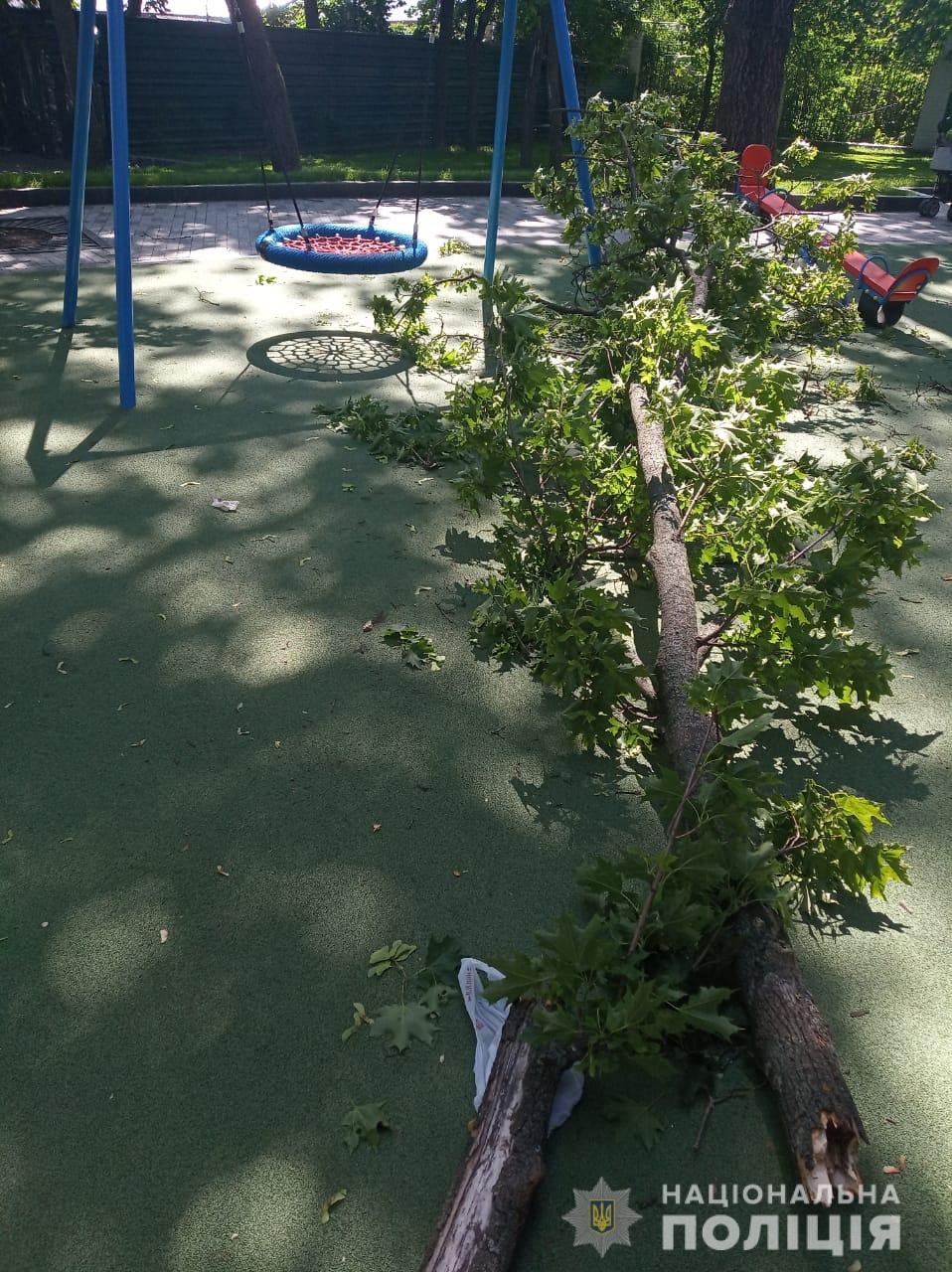 Фото: hk.npu.gov.ua