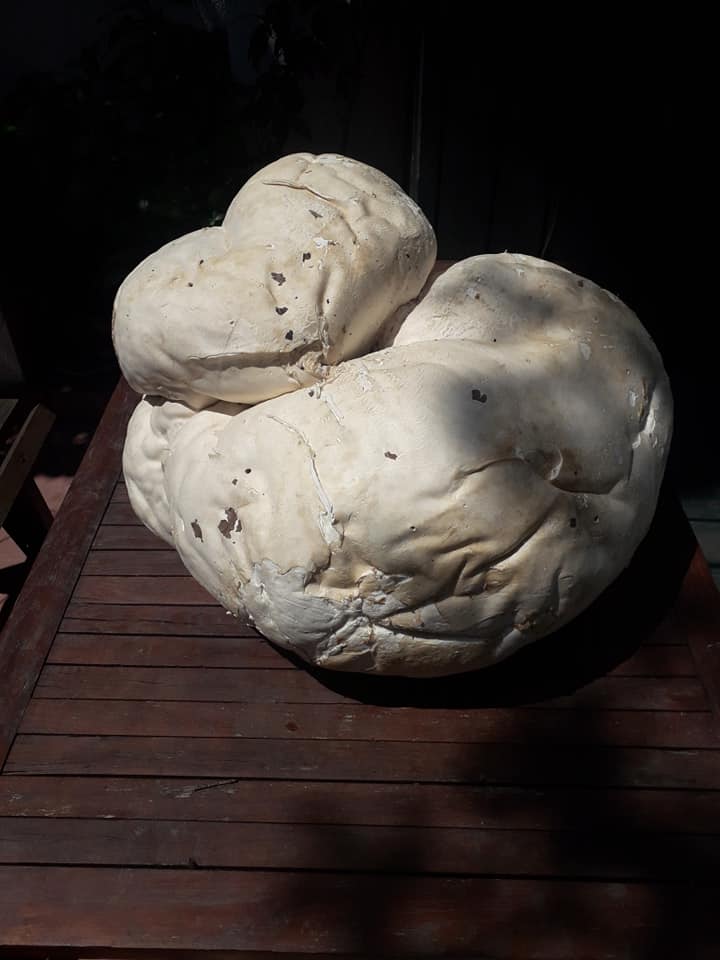 Фото: Sergey Karamushka