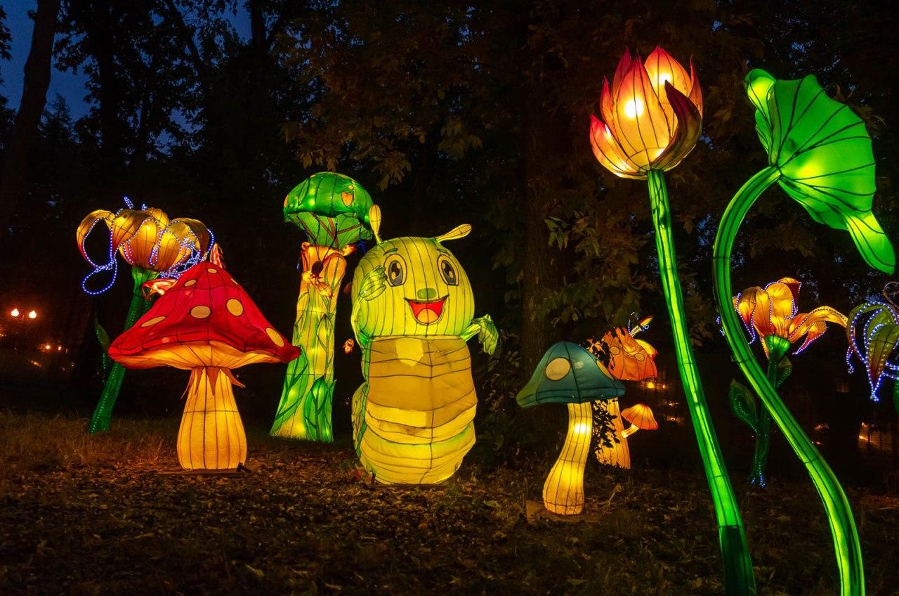 Панды, фламинго, шоу акробатов: в Харькове стартовал Фестиваль гигантских китайских фонарей (фоторепортаж) фото 18 17