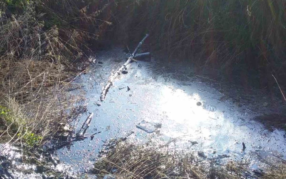 Фото: kh.dsns.gov.ua