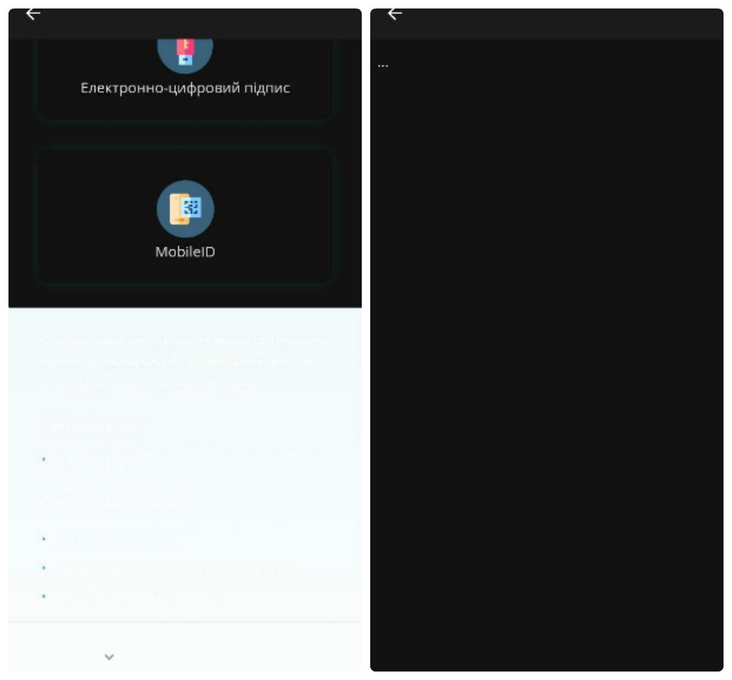 У некоторых пользователей возникли баги в приложении. Фото: Д. Коган