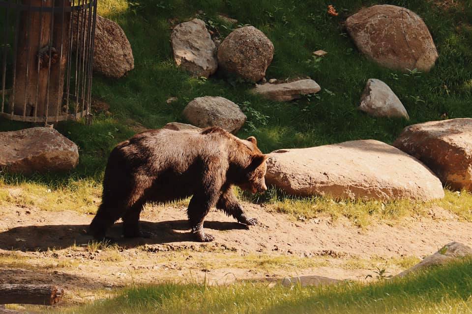 Фото: facebook.com/zookharkov1895