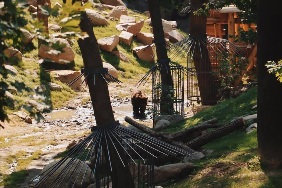 Фото: facebook.com/zookharkov1895