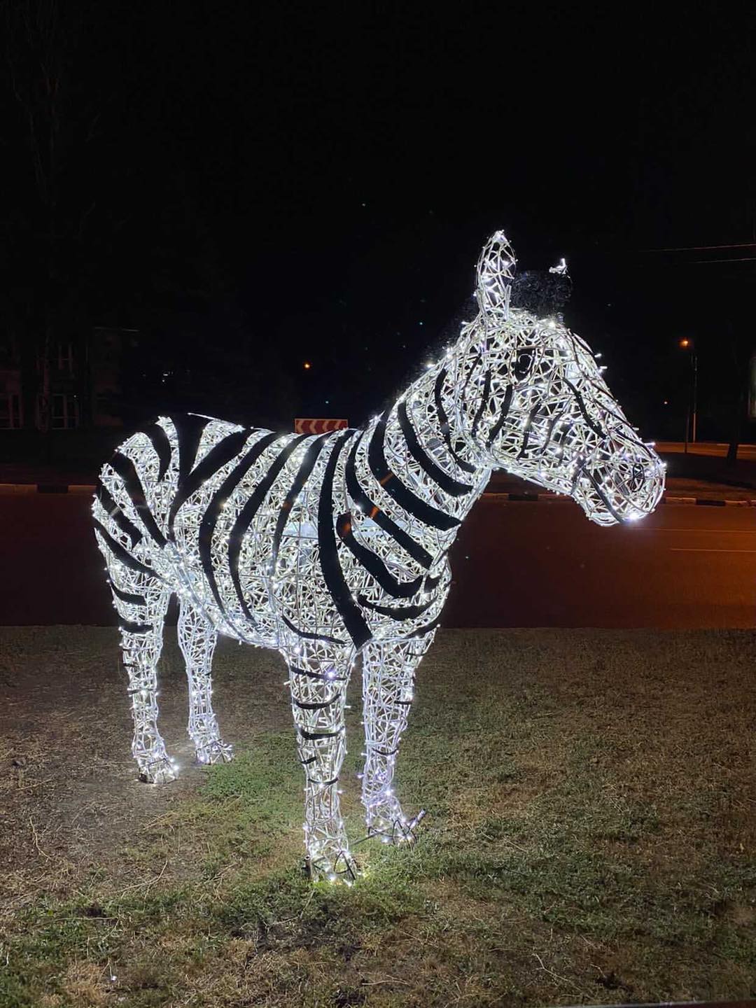  Фото: @arina_brezickaya