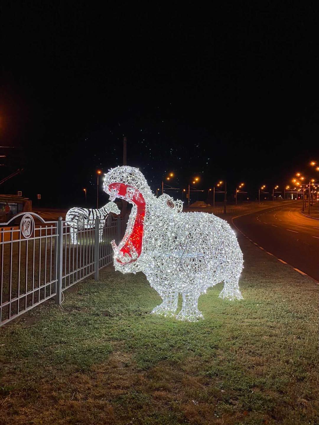  Фото: @arina_brezickaya