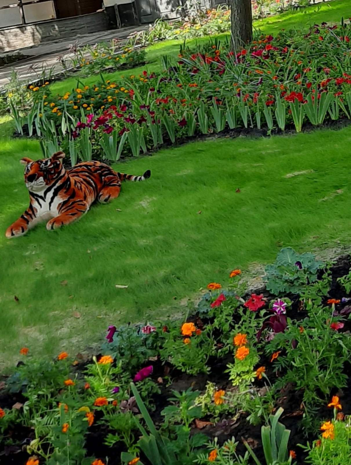 С тигром и цветами: в Харькове выбрали лучший двор фото 4 3