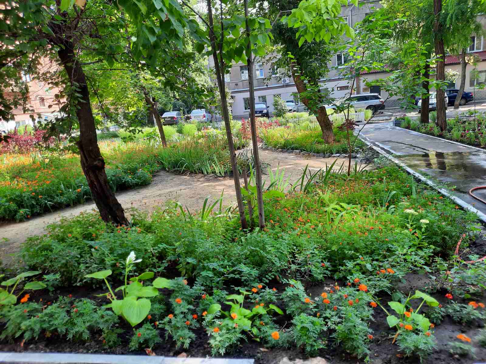 С тигром и цветами: в Харькове выбрали лучший двор фото 2 1