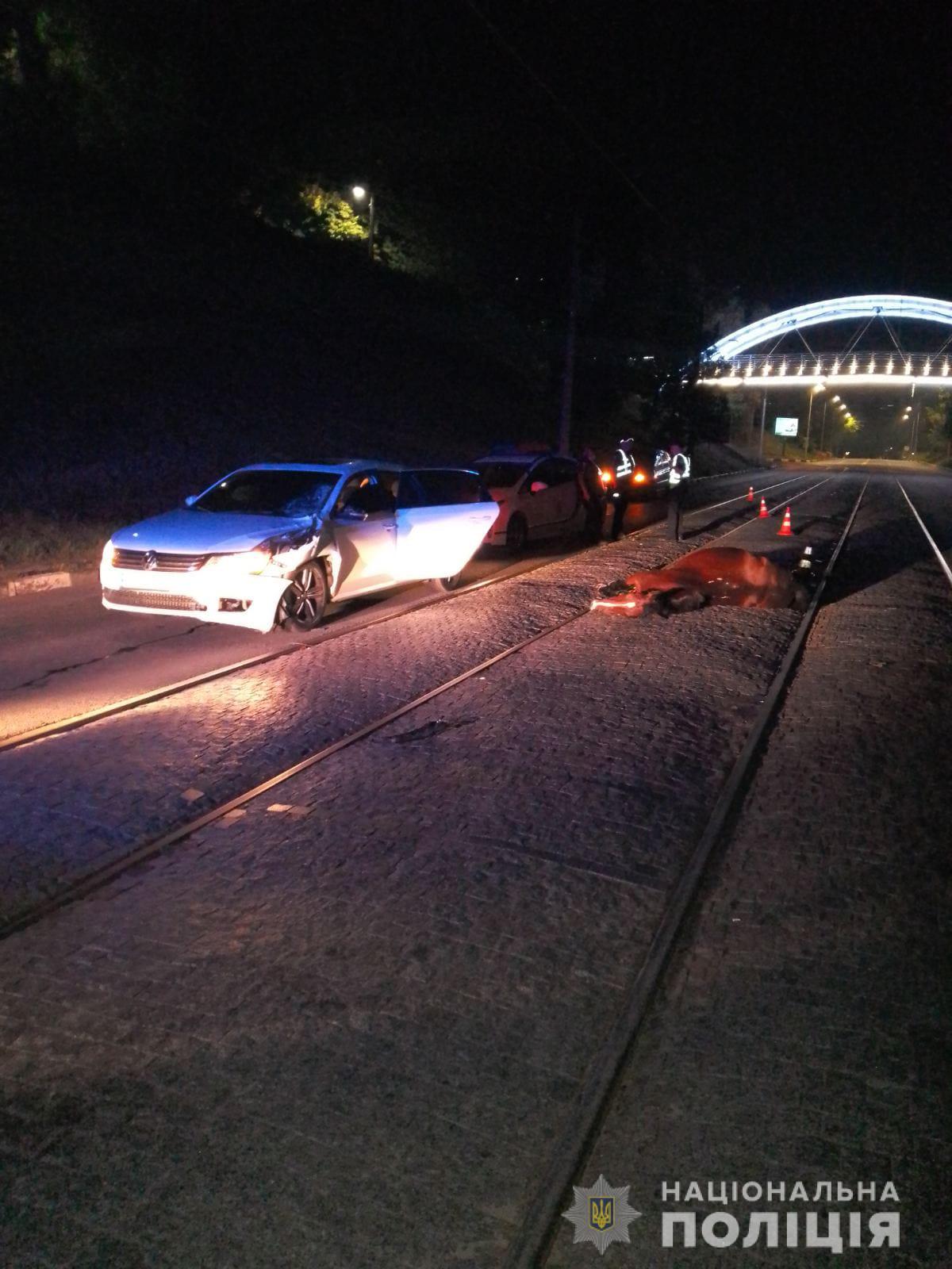 Погибла лошадь, пострадала девушка: на Клочковском спуске — ДТП фото 1