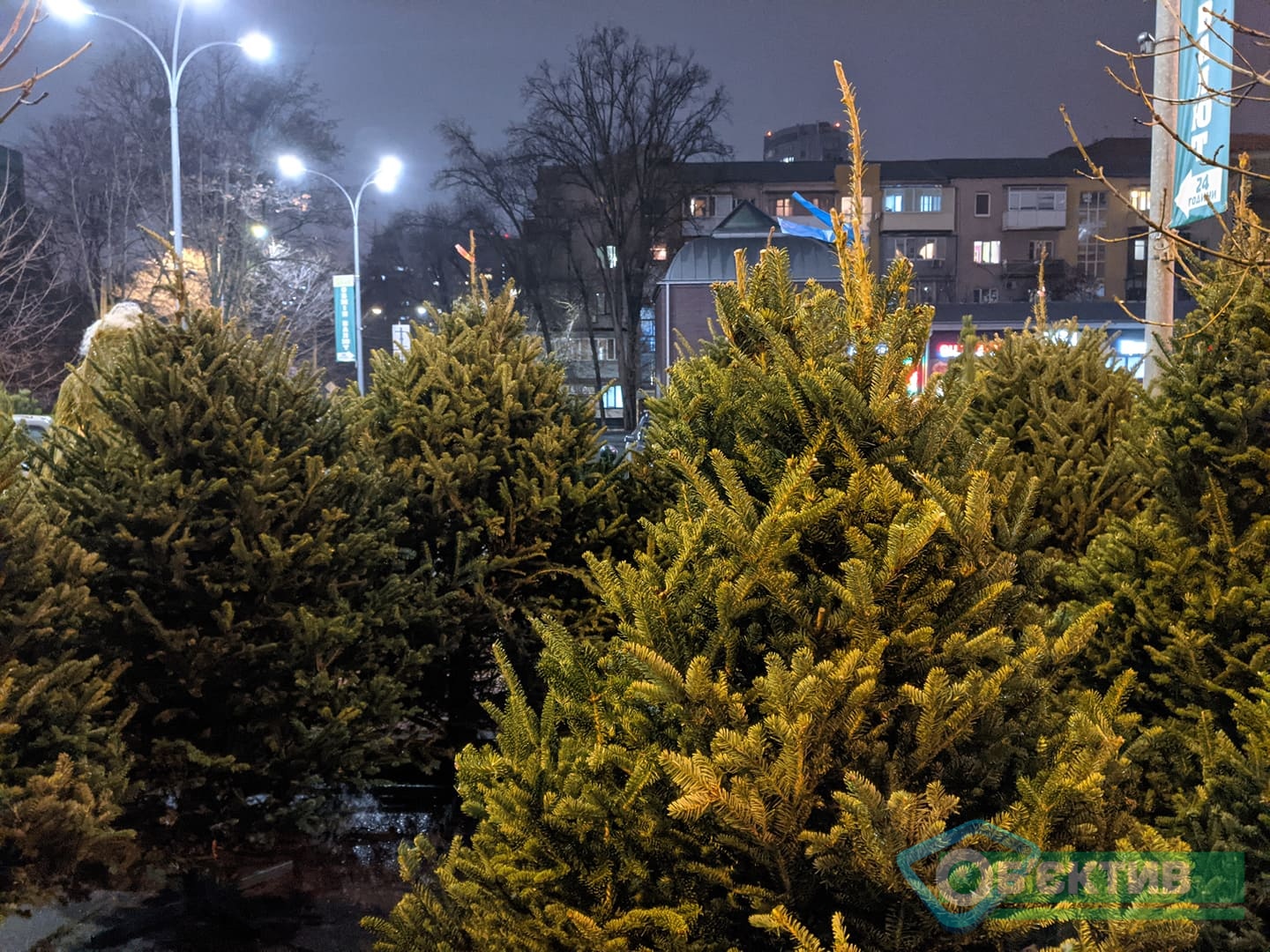 Сколько стоят новогодние елки в Харькове на елочных базарах.