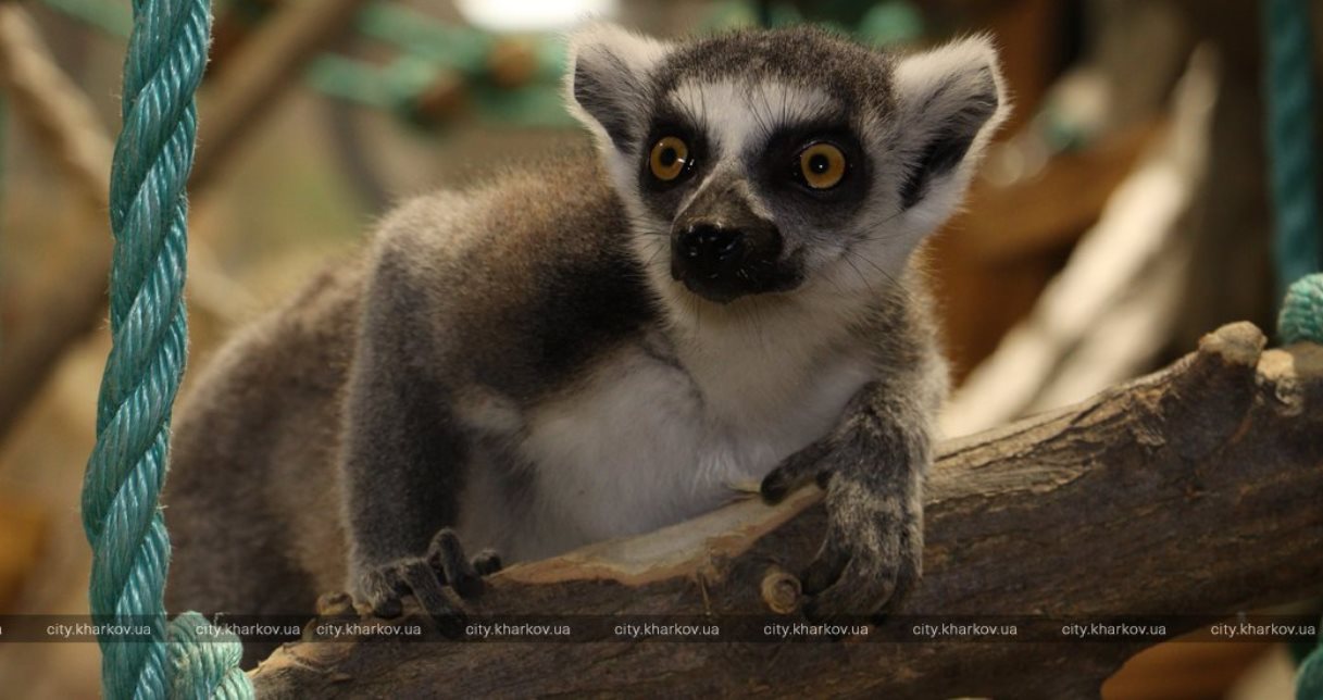  Фото: city.kharkov.ua