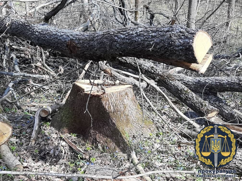 Фото: прокуратура Харьковской области