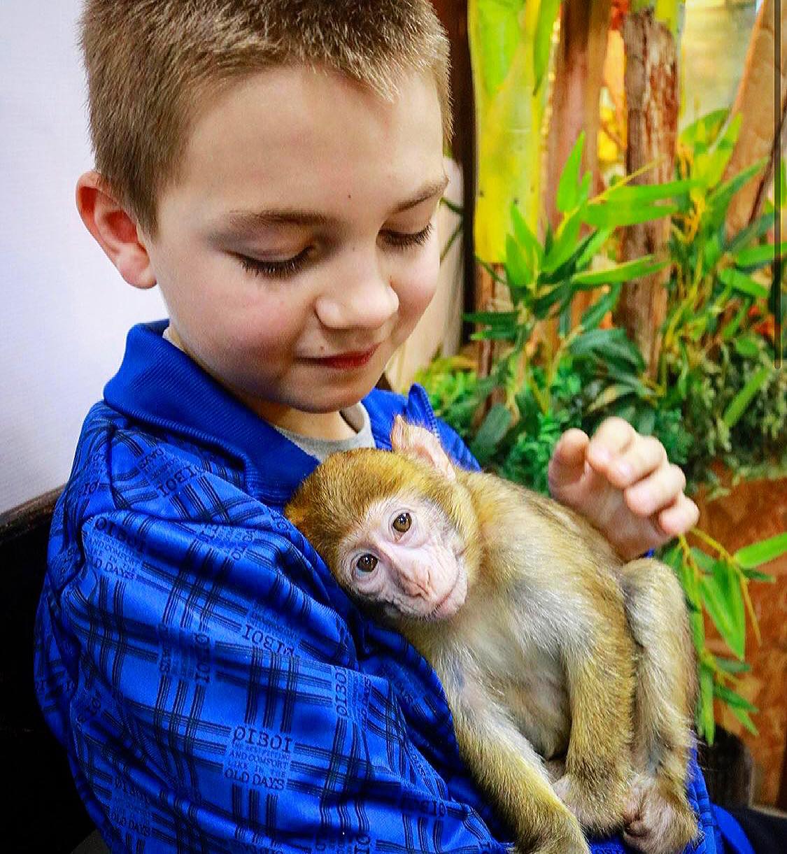 Трогательный зоопарк (контактный зоопарк): фото 2