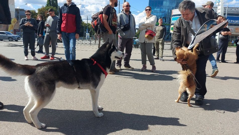 3797fa33f156f9ee.jpg (155 KB)