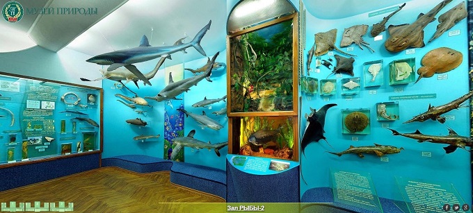 Скриншот из 3D-тура по Музею природы