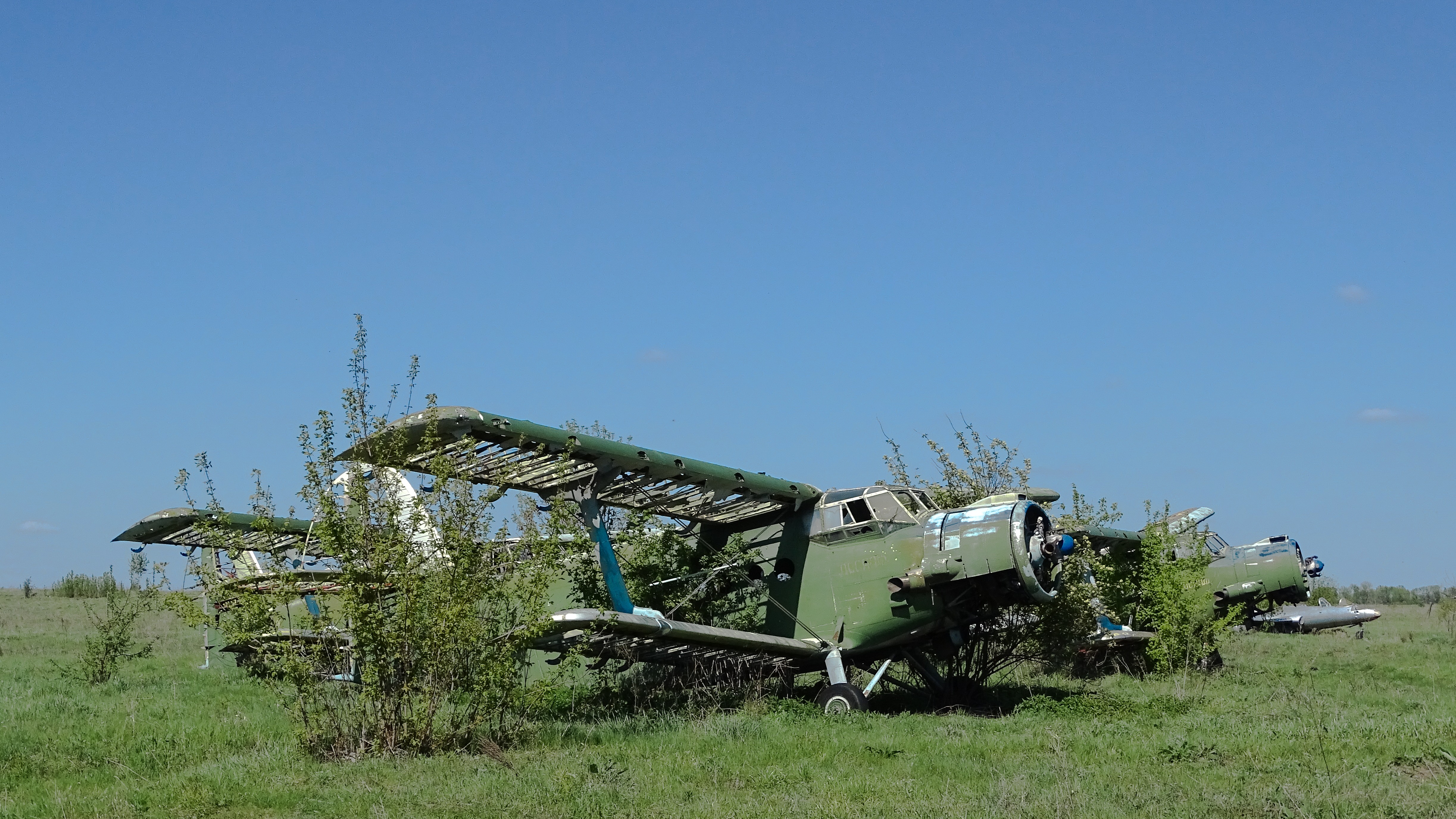 Фото: telegra.ph