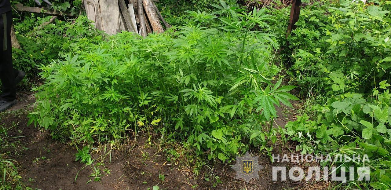 Фото: hk.npu.gov.ua