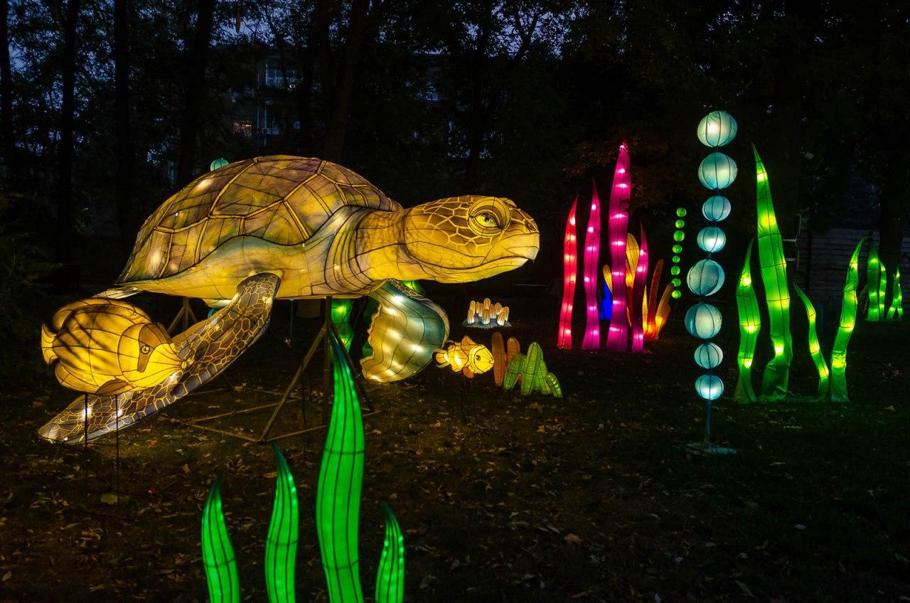 Панды, фламинго, шоу акробатов: в Харькове стартовал Фестиваль гигантских китайских фонарей (фоторепортаж) фото 4 3