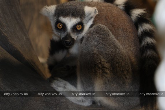  Фото: city.kharkov.ua