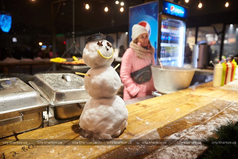 В Харькове зажгли новогоднюю елку 2022.