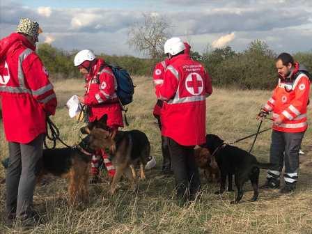 "Поссорилась с братом": как под Харьковом искали 6-летнюю Милану, обнаруженную мертвой фото 3 2