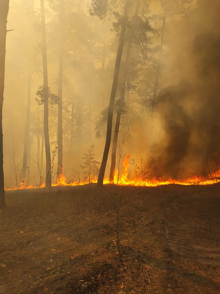 Фото: Slobozhanskyi National Nature Park